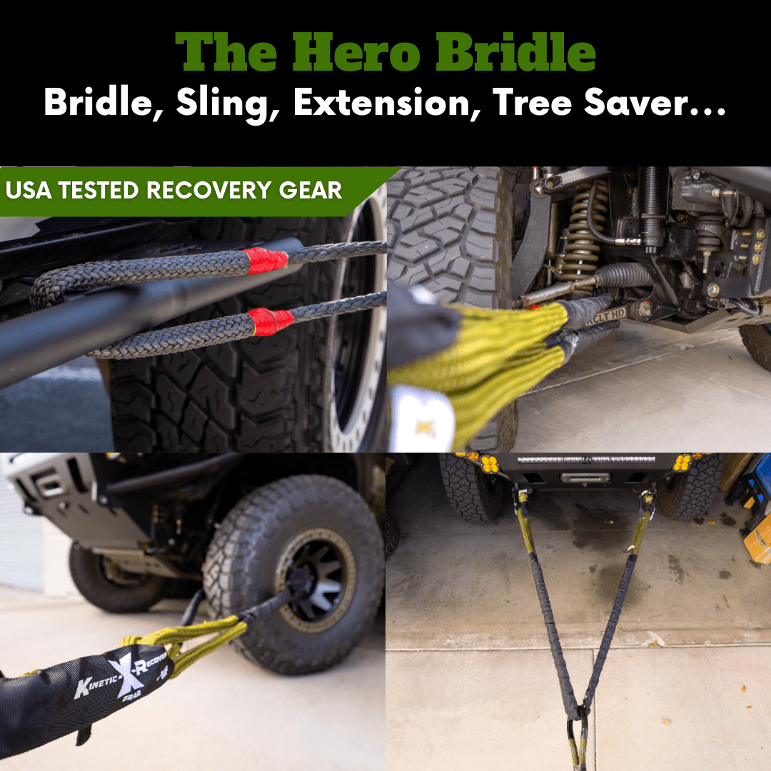 Hero Bridle - SandyCats